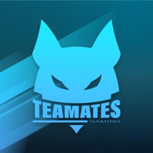 Logo de la structure Teamates Gaming Esport Club Logo de la structure Teamates Gaming Esport Club